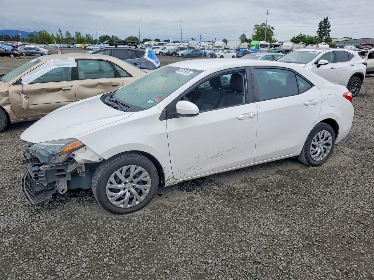 2019 Toyota Corolla — Front End — aukcja Copart or - eugene - 1