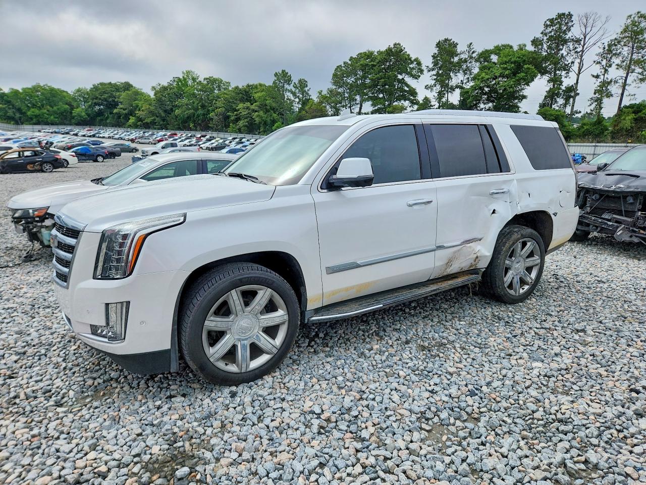 2017 Cadillac Escalade — Side — aukcja Copart ga - macon - 1